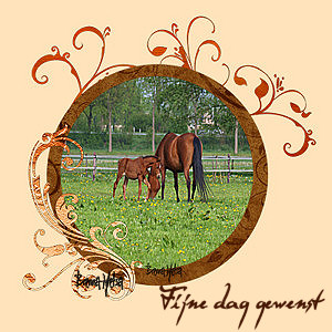 kfijnedagpaard.jpg